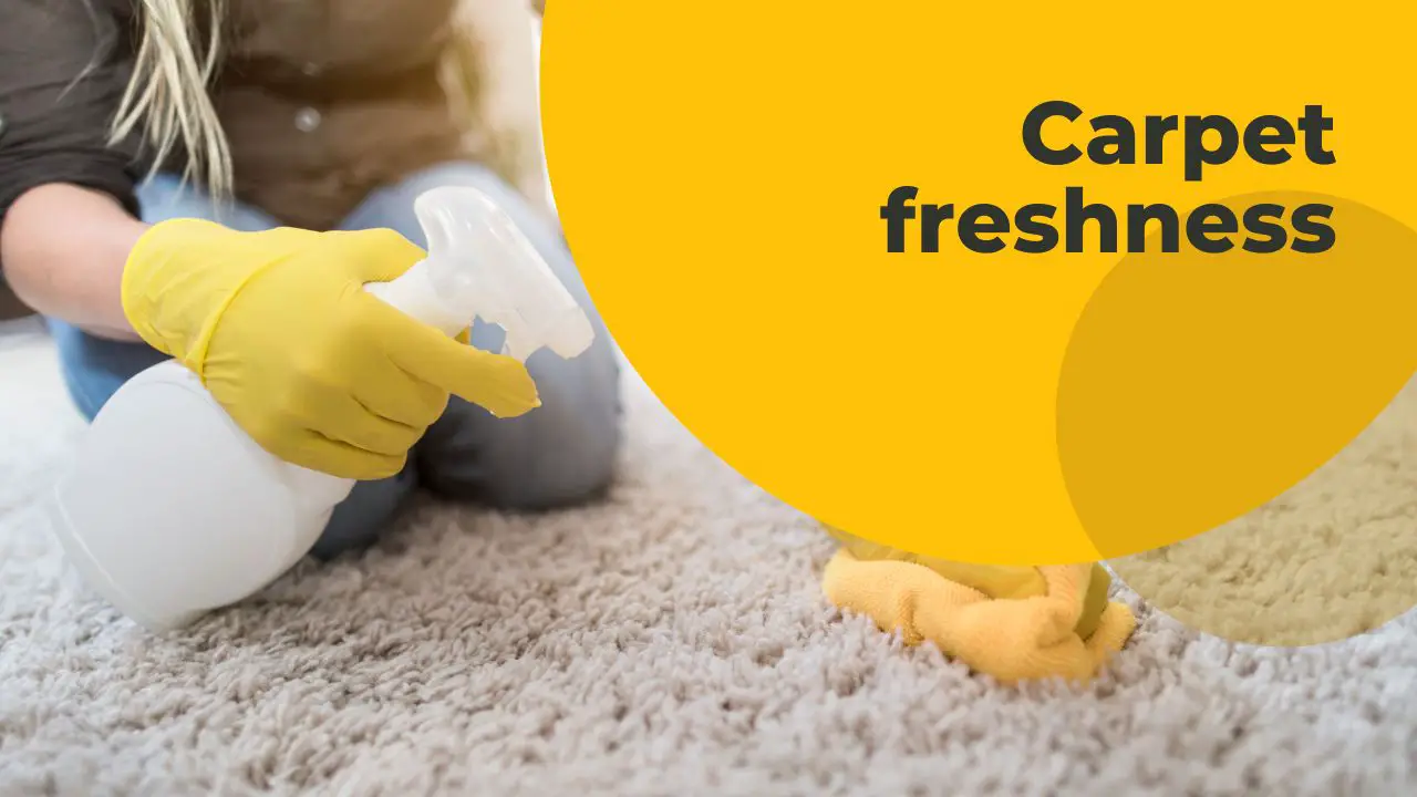 Effective ways to freshen up carpets
