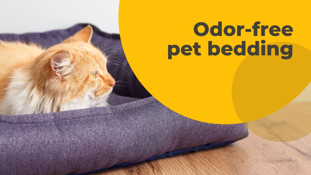 Pet-friendly cleaning: Tips for maintaining a clean and odor-free pet sleeping area