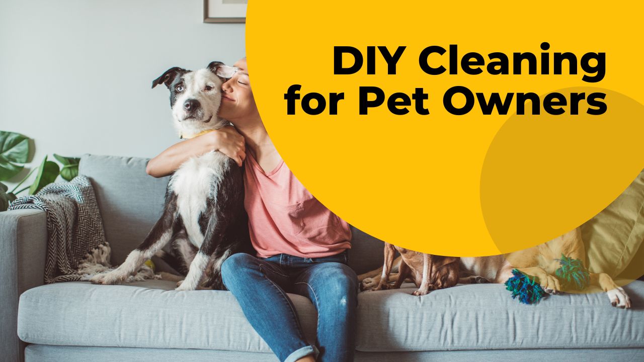 DIY Cleaning for Pet Owners: Solutions for Common Messes