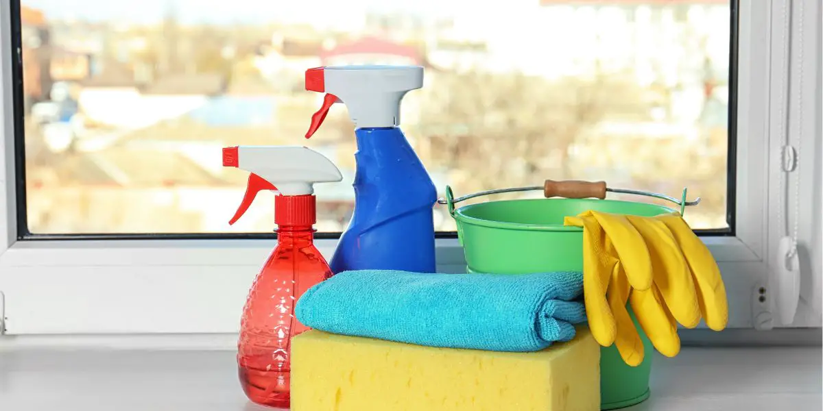 How to Clean Your Windows A StepbyStep Guide Hive and Bee Clean