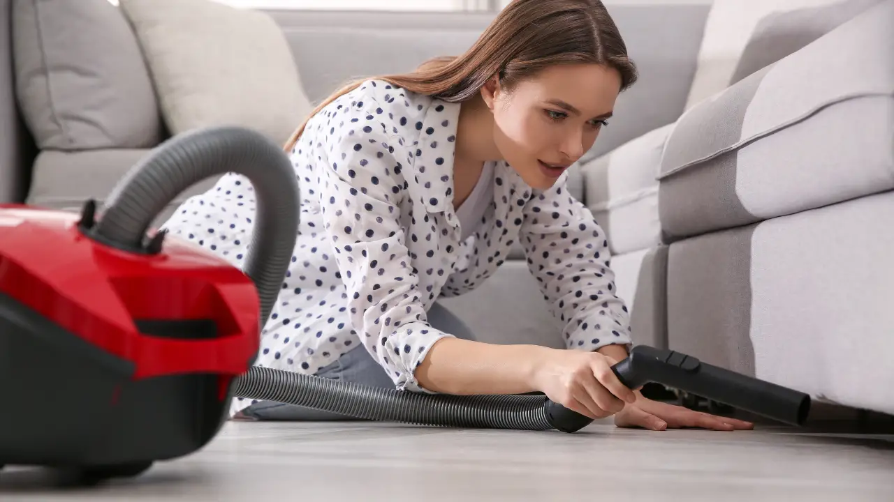 Hiring a House Cleaner Essential Interview Tips Hive and Bee Clean