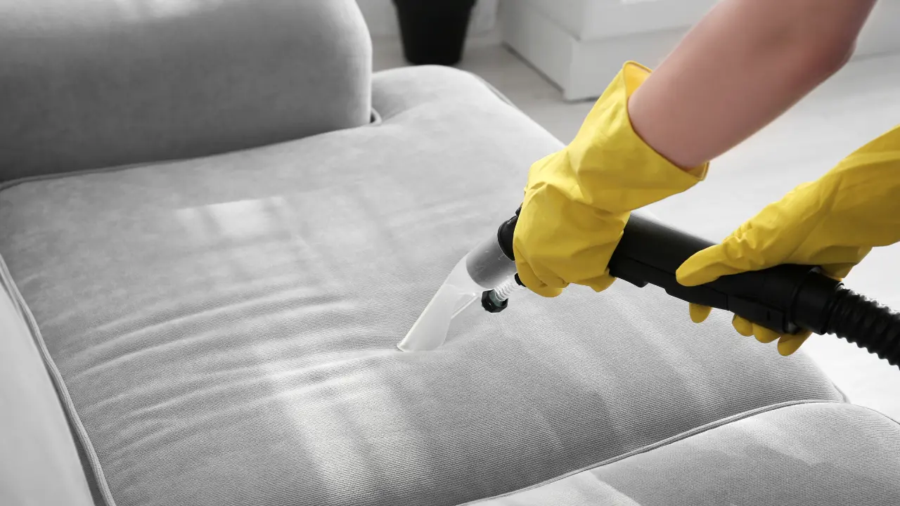 A Guide to Carpet and Upholstery Cleaning